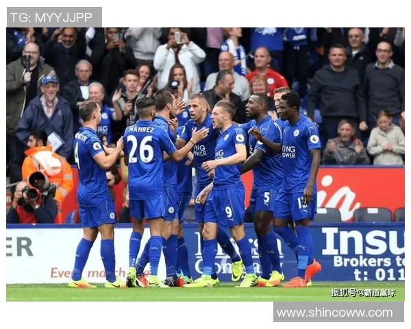 2013年莱切斯特城对决精彩回顾与赛季表现分析 2013年莱切斯特城对决精彩回顾与赛季表现分析