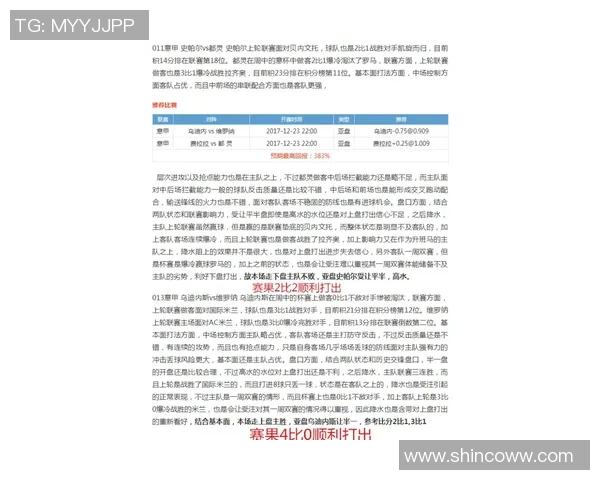 中央海岸与新城堡联的激烈对决揭示澳超联赛新动态与球队实力对比