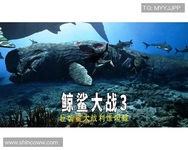 卡尔玛与尤尔加登的激烈对决谁能在这场较量中笑到最后 卡尔玛与尤尔加登的激烈对决谁能在这场较量中笑到最后