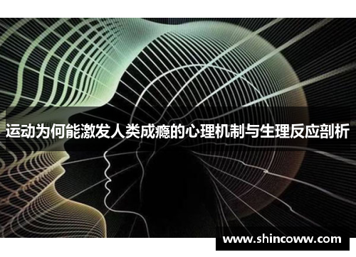 运动为何能激发人类成瘾的心理机制与生理反应剖析