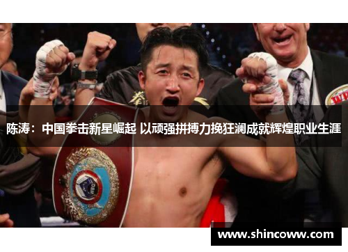 陈涛：中国拳击新星崛起 以顽强拼搏力挽狂澜成就辉煌职业生涯